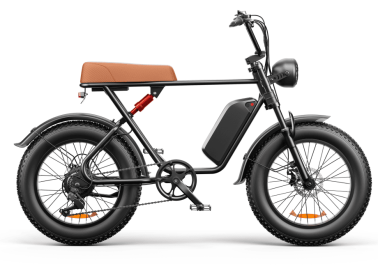 C91 - 20 Inch 20A Electric Bike ---- Purchase Style, Please Check The Details (Option: B)